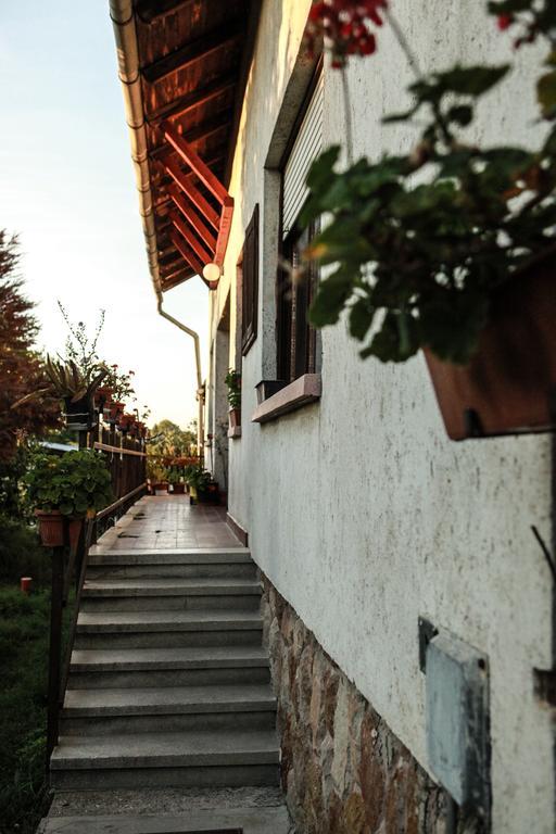 Hotel Anna Hunor Budajeno Exterior foto